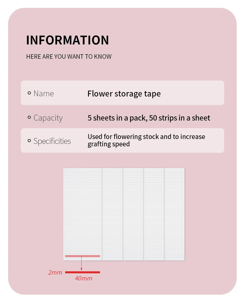 Premade Fan Volume Lashes Tapes Storage Sticky Strip Individual Eyelash Extension Strip Storage Pallet